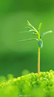 太狠了！Doinb连续十场比赛得分超过绝杀曼城战术微调备战社区盾，托特纳姆豪取连胜备战法甲的简单介绍u8官网在线登录